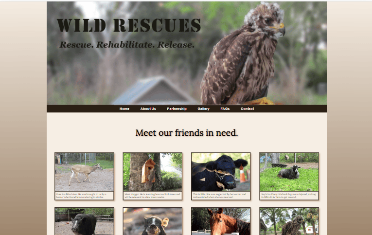 Rescue gallery page